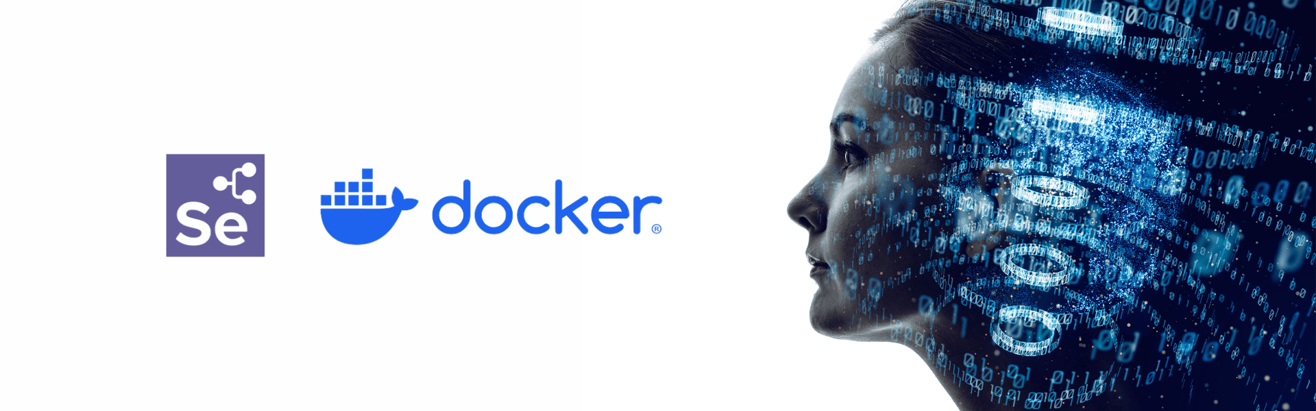 Selenium Grid und Docker - Continuous Testing